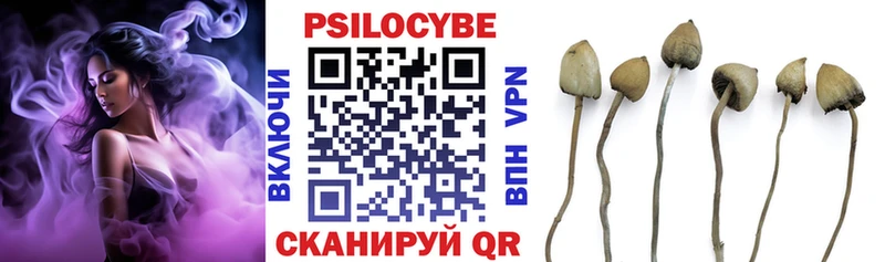 Псилоцибиновые грибы MAGIC MUSHROOMS  Балтийск 