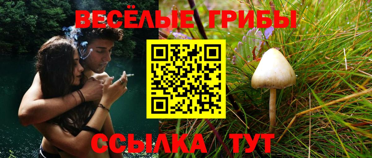 ГАШИШ  МЕТАМФЕТАМИН  Амфетамин   Балтийск  Cocaine  Вход с VPN  Меф МЯУ МЯУ   NBOMe  МДМА  ГАШИШ  Канабис 