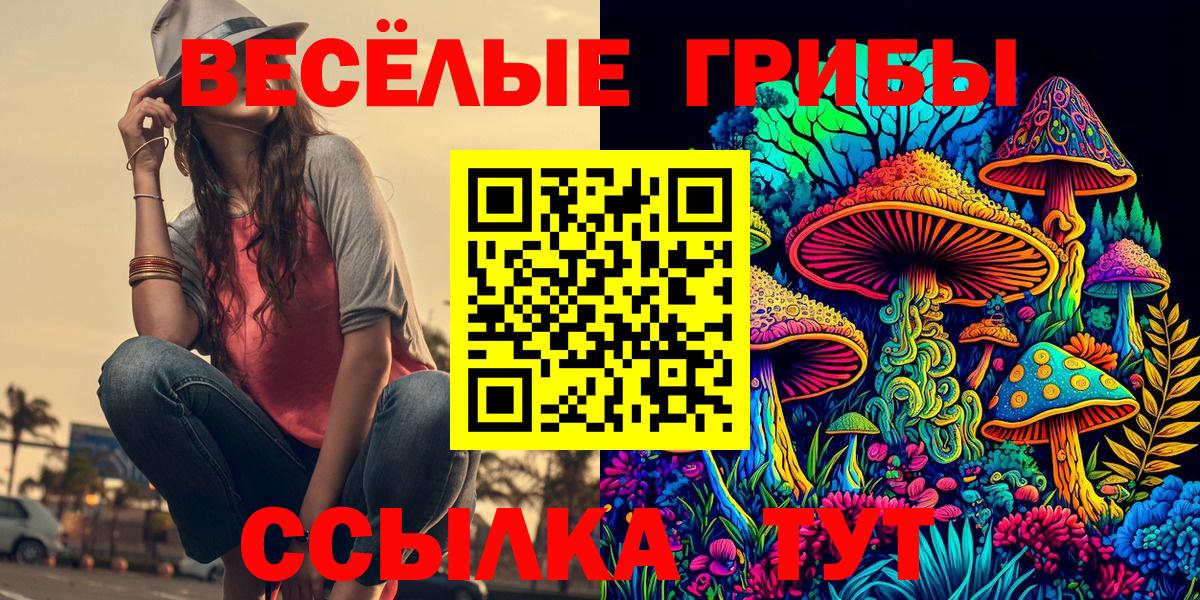 Галлюциногенные грибы Psilocybine cubensis  Вход с VPN  Балтийск 