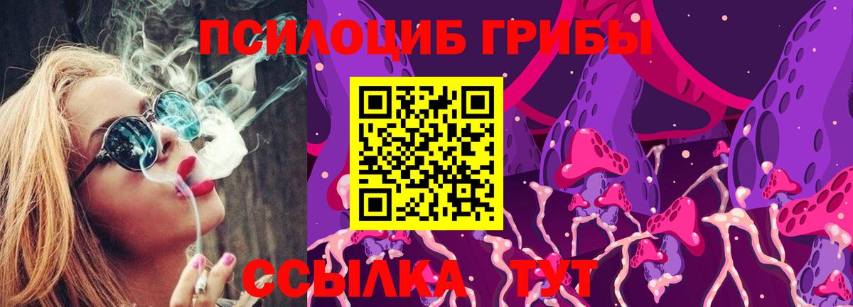 Галлюциногенные грибы Cubensis Балтийск